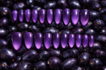 Jamun - Image 3